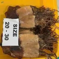 Dried Black Squid