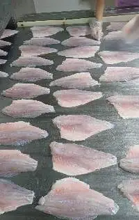 Sea Bass Fillet