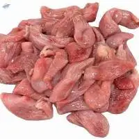 Catfish Stomach