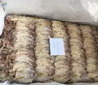 Dried Squid