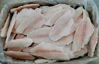 Perch Fillet