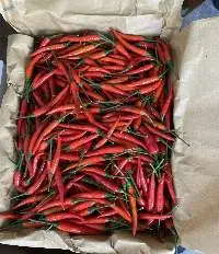Chili