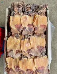 Dried Squid