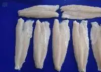 Snakehead Fish Fillet