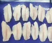 Tilapia Fillet