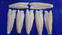 Snakehead Fish Fillet