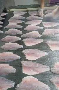 Sea Bass