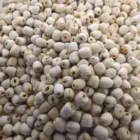 Lotus Seeds