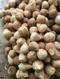 Dried Coconut