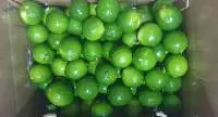Seedless Lemon