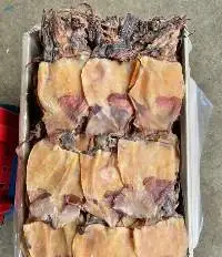 Dried Squid