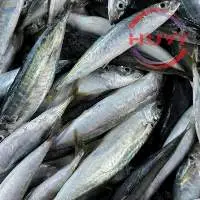 IQF Layang Scad Fish (Decapterus spp.)