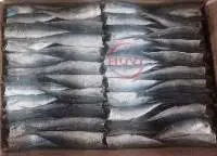 Dried Layang Scad Fish
