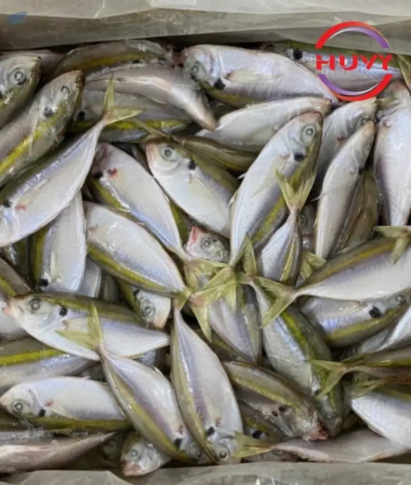Frozen Yellowstripe Scad Fish