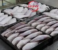 Frozen Leather Jacket Fish Fillet (Skinless)