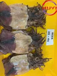 Dried Cuttlefish