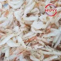 Salted Tiny Shrimp