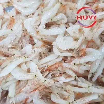 Salted Tiny Shrimp