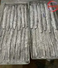 Frozen Ribbon Fish