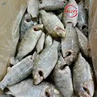 IQF Cleaned Climbing Perch