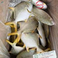 Frozen Golden Pomfret Fish