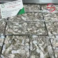 IQF Frozen Baby Octopus