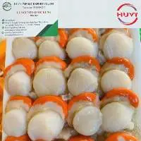Frozen Scallop
