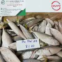 Frozen Short-bodied Mackerel