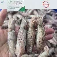 Frozen Steamed Squid