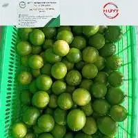 Fresh Lime Lemon