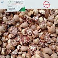 Dried Betel Nut  (Whole & Split)