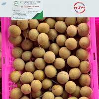Fresh Longan