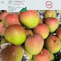 Fresh R2E2 Mango