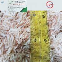 Salted Baby Shrimp