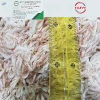 Salted Baby Shrimp