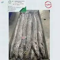 Frozen Ribbon Fish