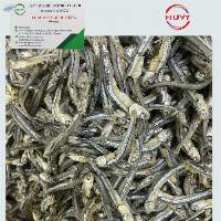 Dried Anchovy Fish