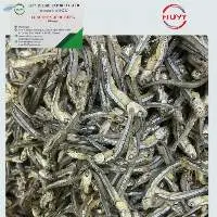 Dried Anchovy Fish