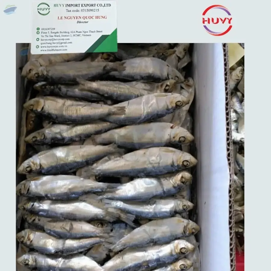 Dried Herring Fish