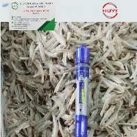 Dried Anchovy Fish
