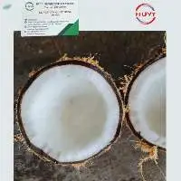 Dried Coconut
