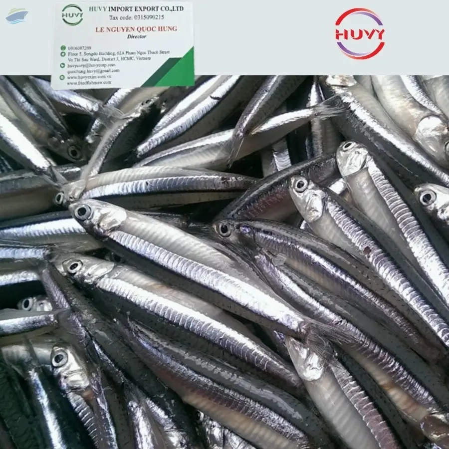 Frozen Anchovy Fish