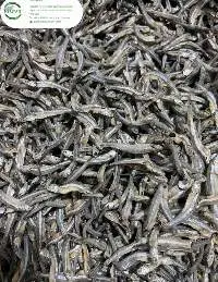 Dried Anchovy Fish
