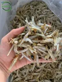 Shredded Dried Anchovy Fish