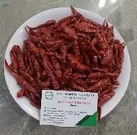 Dried Chili