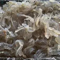 Salted Jellyfish (Pressed)
