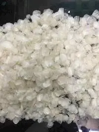 Dried Fish Scales