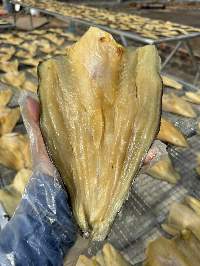 Dried Pangasius Fish