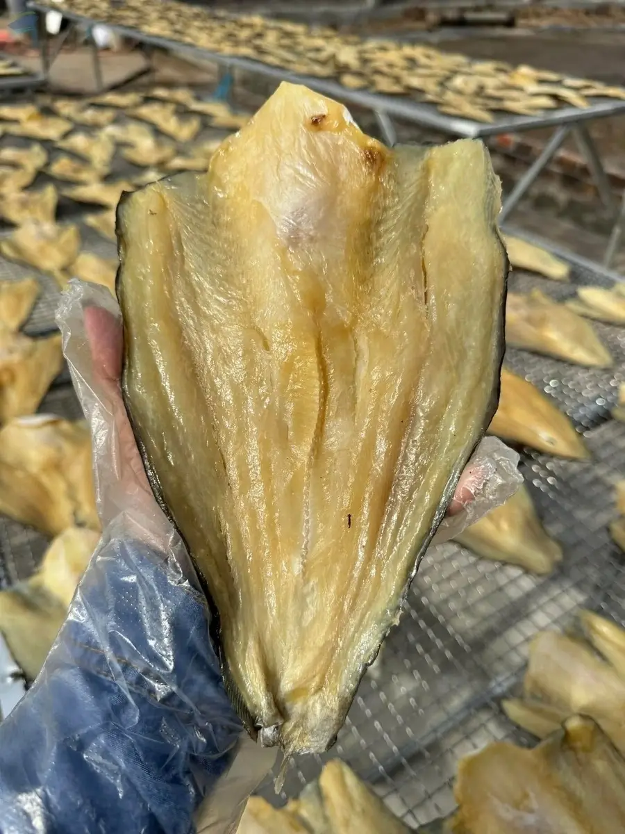 Dried Pangasius Fish