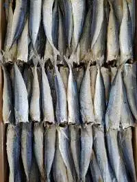 Dried Layang Scad